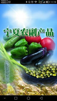 寧夏農副產品“下載”指南 特色、渠道與品牌數字化之路